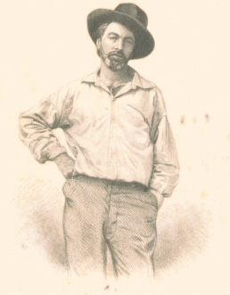 frontispiece portrait of Walt Whitman, engraved by Samuel Hollyer after a daguerreotype by Gabriel Harrison, in the 1855 first edition of Leaves of Grass