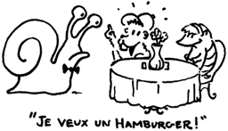 hamburger